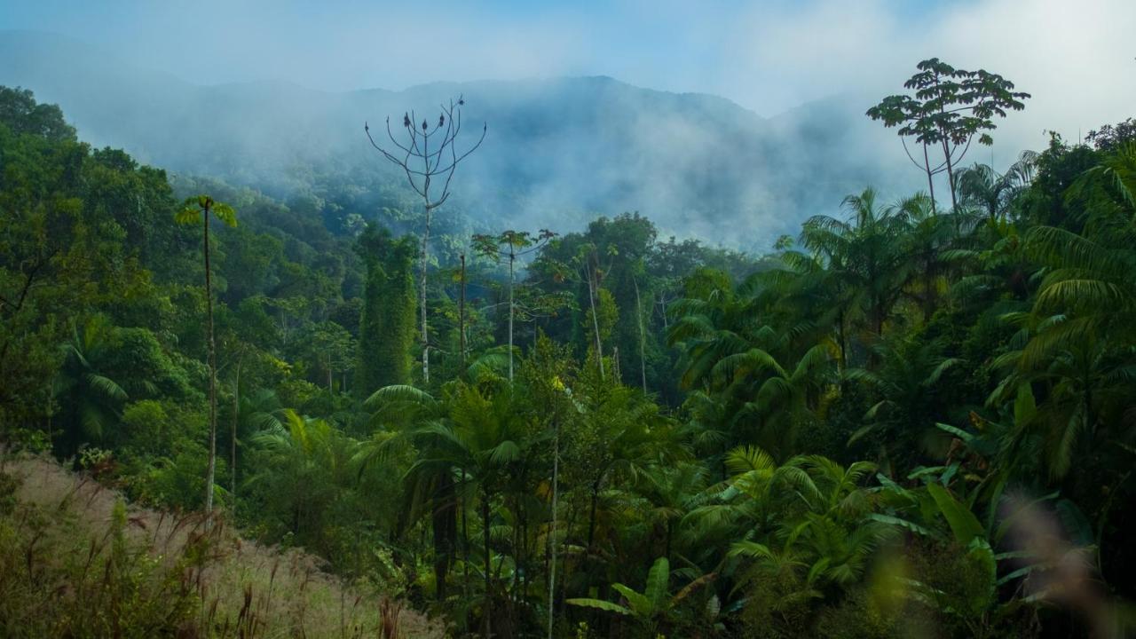 Pousada Salve Floresta Тапираи Экстерьер фото